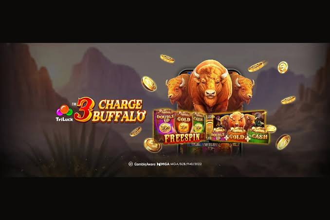 Testimonio de 3 Charge Buffalo Testimonio de 3 Charge Buffalo